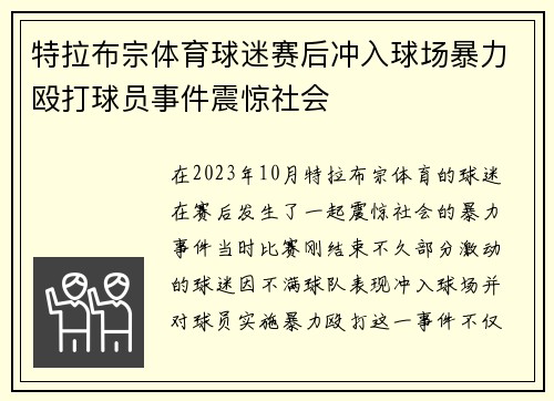 特拉布宗体育球迷赛后冲入球场暴力殴打球员事件震惊社会